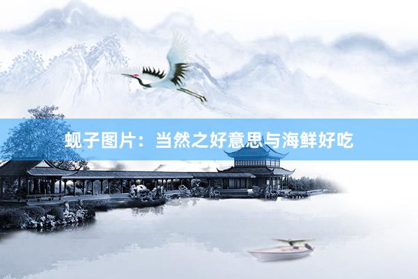 蚬子图片:当然之好意思与海鲜好吃